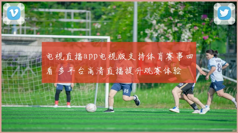 电视直播app电视版支持体育赛事回看 多平台高清直播提升观赛体验