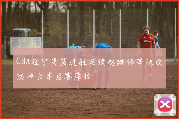 CBA辽宁男篮连胜延续赵继伟串联攻防冲击季后赛席位